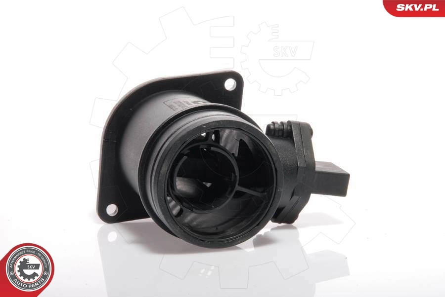 Mass Air Flow Sensor